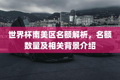 世界杯南美区名额解析，名额数量及相关背景介绍