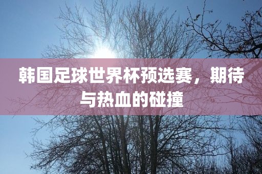 韩国足球世界杯预选漯河市盈旭机械设备有限公司赛，期待与热血的碰撞