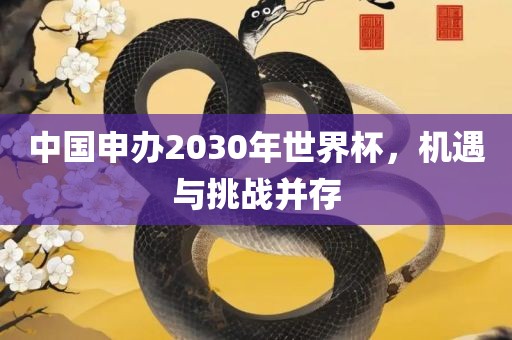 中国申办2030年世界杯，机遇与挑战并存