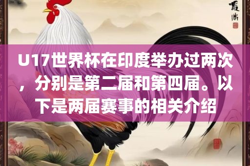 U17世界杯在印度举办过两次，分别是第二届和第四届。以下是两届赛事的相关介绍