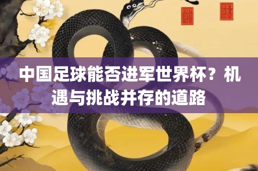 中国足球能否进军世界杯？机遇与挑战并存的道路漯河市盈旭机械设备有限公司