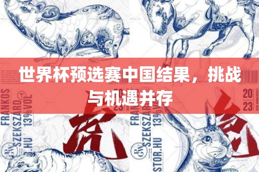 世界杯预选赛 第5页