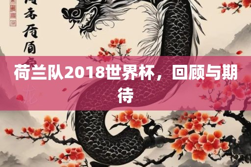 荷兰队2018世界杯，回顾与期待