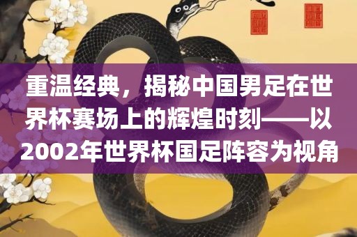 重温经典，揭秘中国男足在世界杯赛场上的辉煌时刻——以2002年世界杯国足阵容为视角漯河市盈旭机械设备有限公司