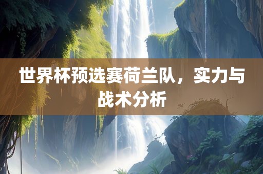 世界杯预选赛荷兰队，实力与战术分析
