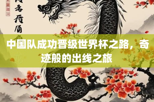 中国队成功晋级世界杯之路，奇迹般的出线之旅