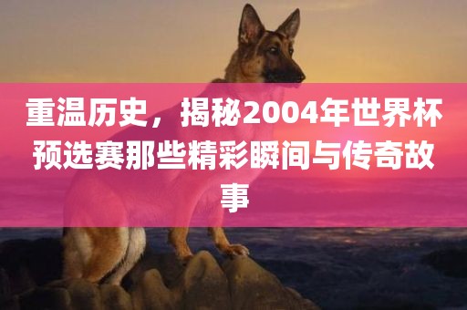 重温历史，揭秘2004年世界杯预选赛那些精彩瞬间与传奇故事
