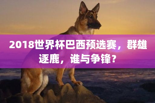 2018世界杯巴西预选赛，群雄逐鹿，谁与争锋？漯河市盈旭机械设备有限公司