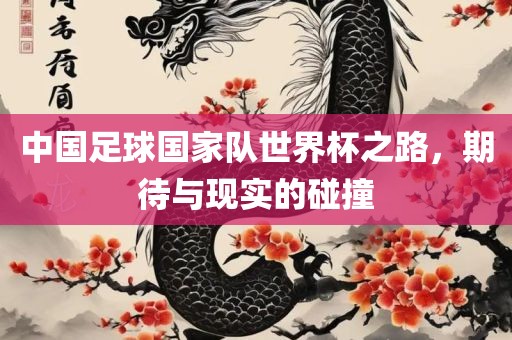 中国足球国家队世界杯之路，期待与现实的碰撞