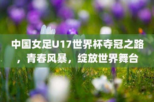 中国女足U17世界杯夺冠之路，青春风暴，绽放世界舞台