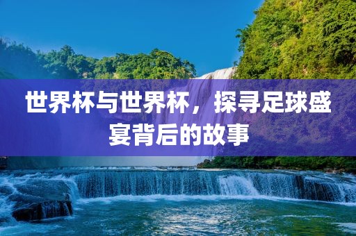 足球盛宴 第8页