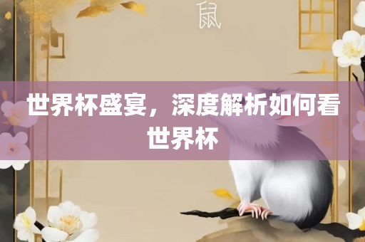 世界杯盛宴，深度解析如何看世界杯漯河市盈旭机械设备有限公司