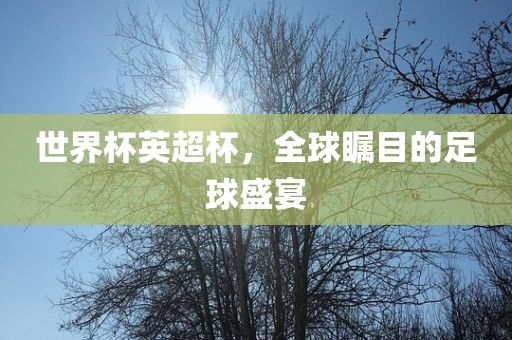 世界杯英超杯，全球瞩目的足球盛宴漯河市盈旭机械设备有限公司