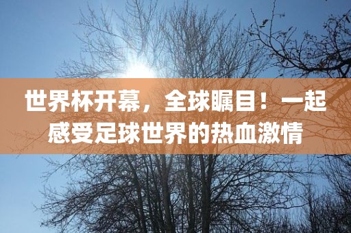 世界杯开幕，全球瞩目！一起感受足球世界的热血激情漯河市盈旭机械设备有限公司