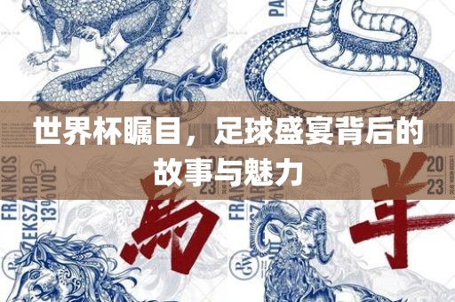 世界杯瞩目，足球盛宴背后的故事与魅力漯河市盈旭机械设备有限公司