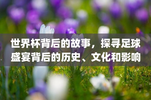 世界杯背后的故事，探寻足球盛宴背后的历史、文化和影响漯河市盈旭机械设备有限公司