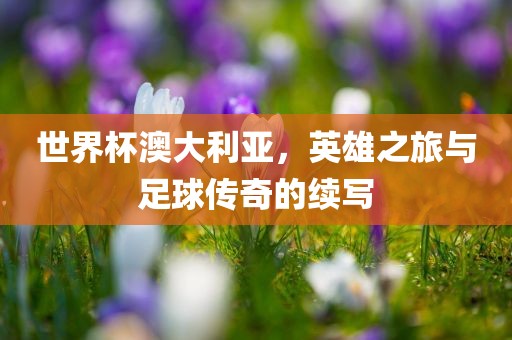 世界杯澳大利亚，英雄之旅与足球传奇的续写