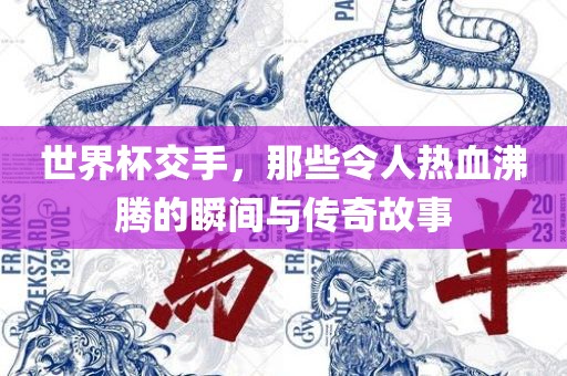 世界杯交手，那些令人热血沸腾的瞬间与传奇故事漯河市盈旭机械设备有限公司