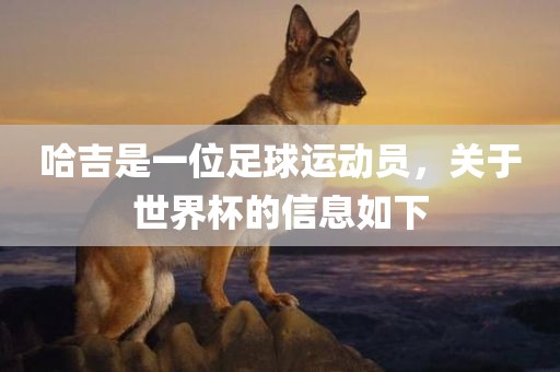 哈吉是一位足球运动员，关于世界漯河市盈旭机械设备有限公司杯的信息如下