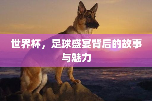 世界杯，足球盛宴背后的故事与魅力漯河市盈旭机械设备有限公司