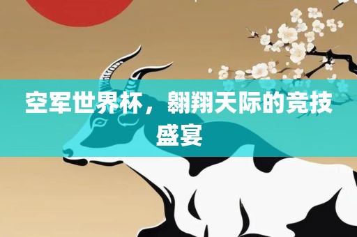 空军世界杯，翱翔天际的竞技盛宴漯河市盈旭机械设备有限公司