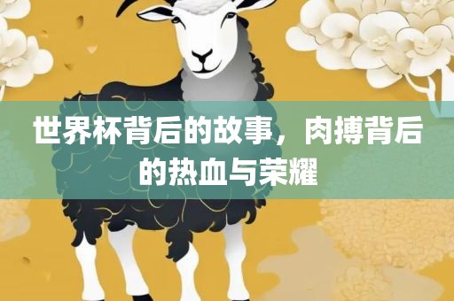 世界杯背后的故事，肉搏背后的热血与荣耀