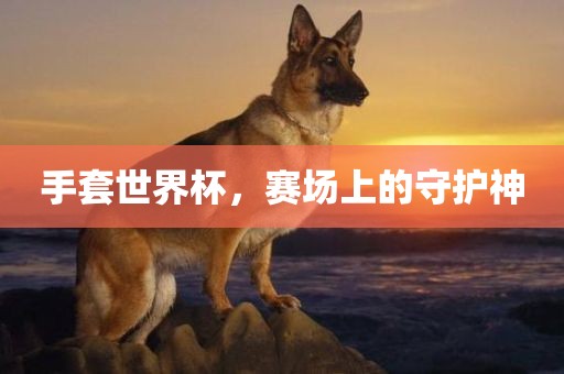 手套世界杯，赛场上的守护神