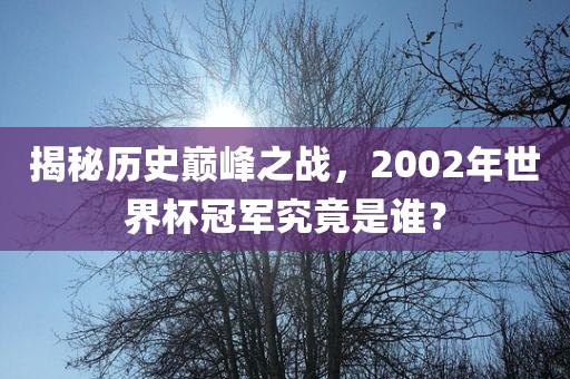 揭秘历史巅峰之战，2002年世界杯冠军究竟是谁？漯河市盈旭机械设备有限公司