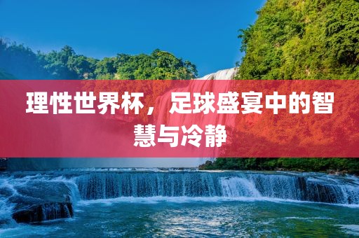 理性世界杯，足球盛宴中的智慧与冷静漯河市盈旭机械设备有限公司