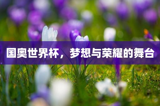 国奥世界杯，梦想与荣耀的舞台漯河市盈旭机械设备有限公司