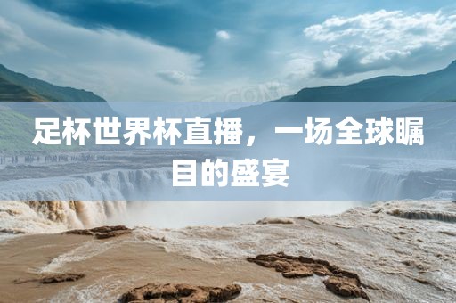 足杯世界杯直播，一场全球瞩目的盛宴漯河市盈旭机械设备有限公司