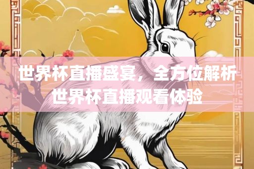 世界杯直播盛宴，全方位解析世界杯直播观看体验