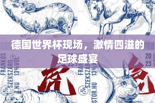 德国世界杯现场，激情四溢的足球盛宴