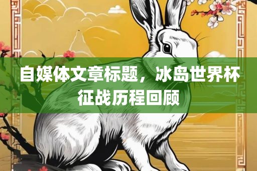 自媒体文章标题，冰岛世界杯征战历程回顾