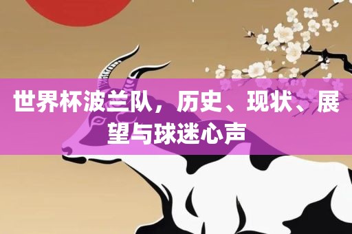 世界杯波兰队，历史、现状、展望与球迷心声