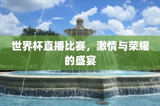 世界杯直播比赛，激情与荣耀的盛宴漯河市盈旭机械设备有限公司
