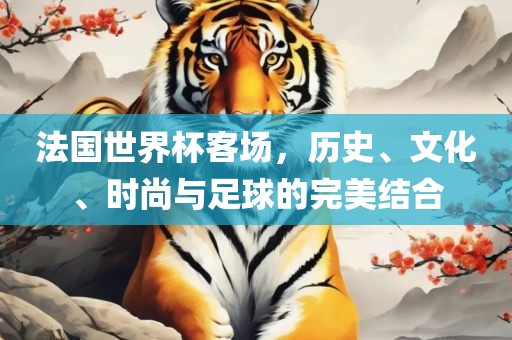 法国世界杯客场，历史漯河市盈旭机械设备有限公司、文化、时尚与足球的完美结合