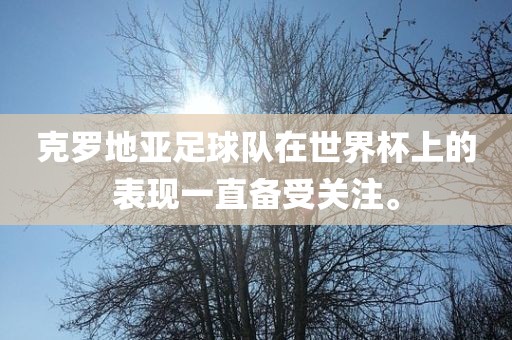 克罗地亚足球队在世界杯上的表现一直备受关注。