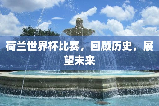 荷兰世界杯比赛，回顾历史，展望未来漯河市盈旭机械设备有限公司