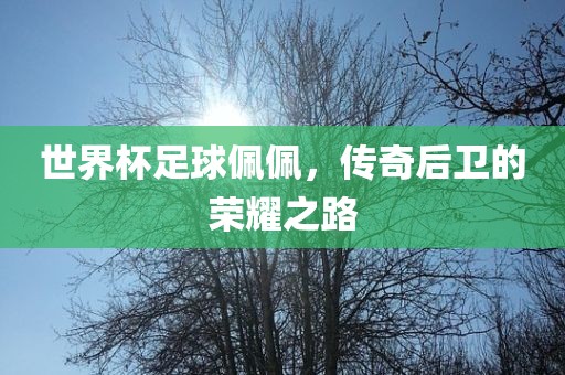 世界杯足球佩佩，传奇后卫的荣耀之路漯河市盈旭机械设备有限公司