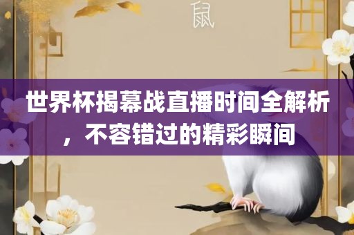 世界杯揭幕战直播时间全解析，不容错过的精彩瞬间