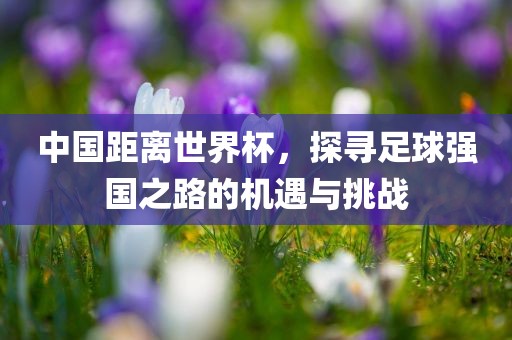 中国距离世界杯，探寻足球强国之路的机遇与挑战