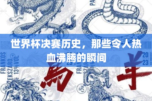 世界杯决赛历史，那些令人热血沸腾的瞬间漯河市盈旭机械设备有限公司