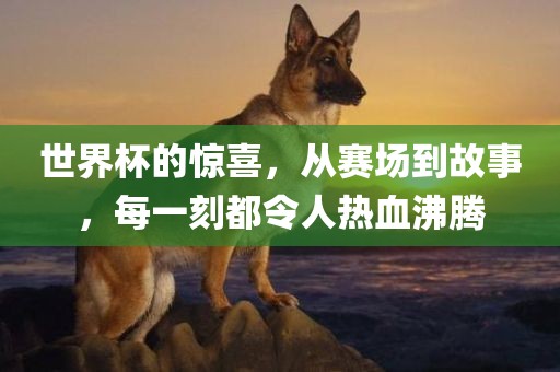 世界杯的惊喜，从赛场到故事，每一刻都令人热血沸腾漯河市盈旭机械设备有限公司