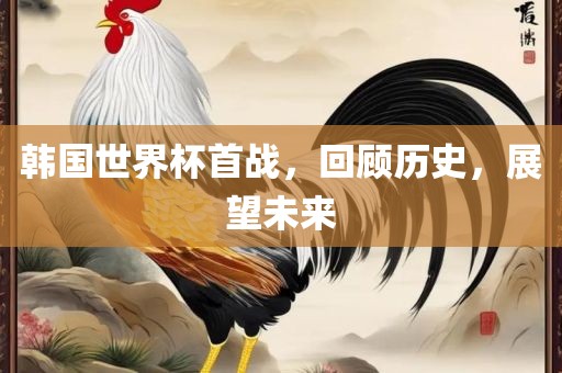 韩国世界杯首战，回顾历史，展漯河市盈旭机械设备有限公司望未来