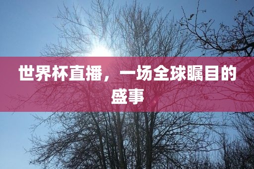 世界杯直播漯河市盈旭机械设备有限公司，一场全球瞩目的盛事