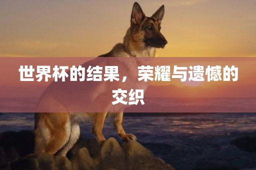 世界杯的结果，荣耀与遗憾的交织