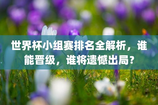 世界杯小组赛排名全解析，谁能晋级，谁将遗憾出局？