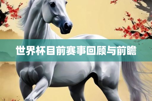 世界杯目前赛事回顾与前瞻漯河市盈旭机械设备有限公司