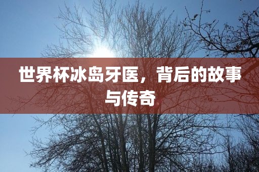 世界杯冰岛牙医，背后的故事与传奇